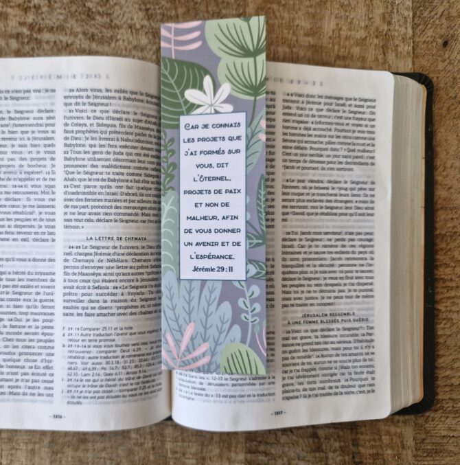MP n°01 – Jérémie 29 : 11 – Image 2