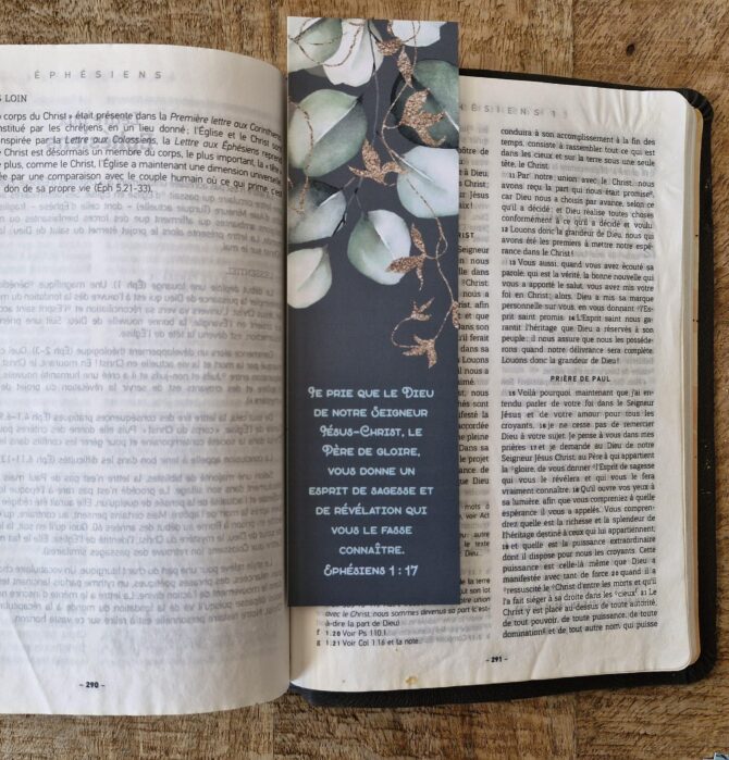 MP n°10 – Ephésiens 1 : 17 – Image 2