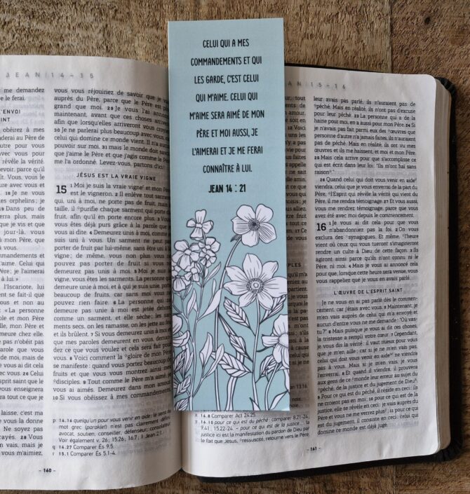 MP n°05 – Jean 14 : 21 – Image 2