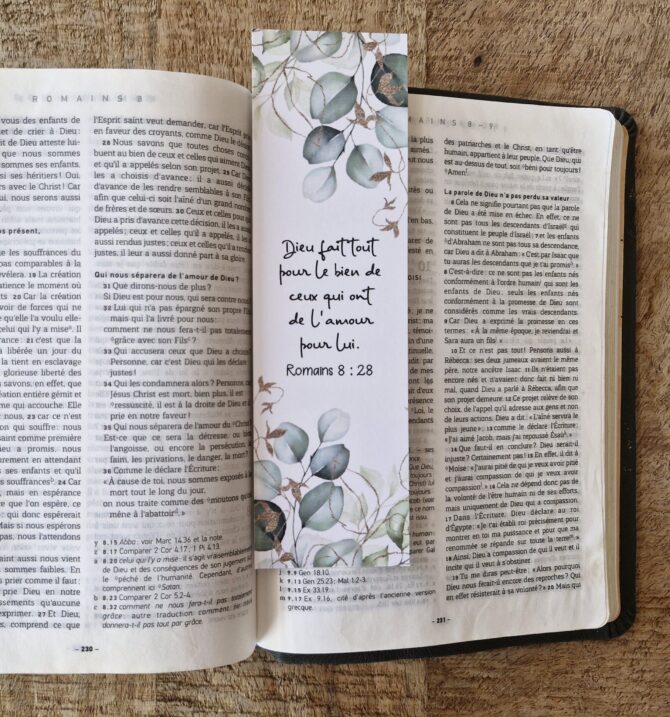 MP n°13 – Romains 8 : 28 – Image 2