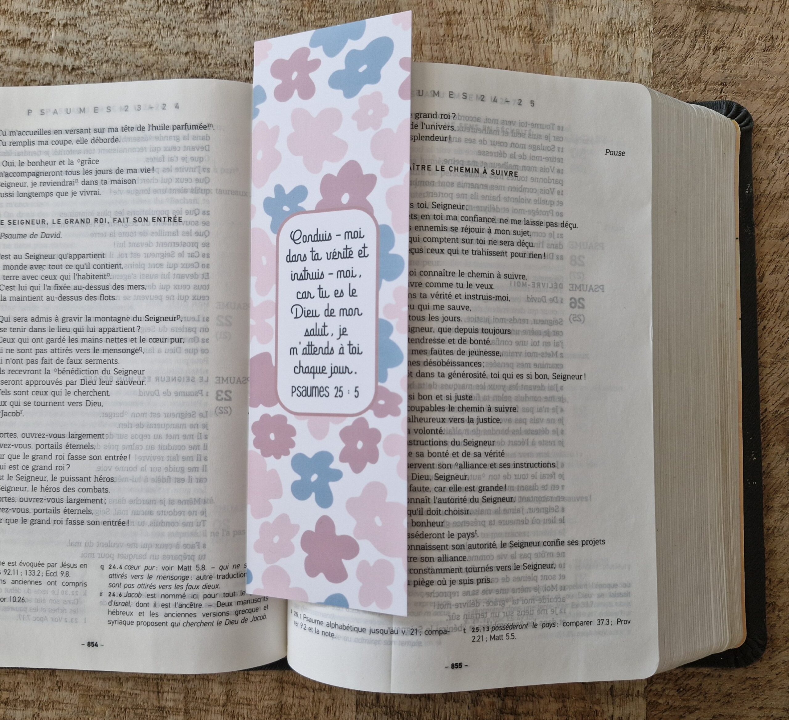 MP n°29 - Psaumes 25 : 5 – Image 2