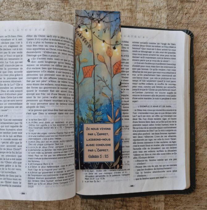 MP n°21 - Galates 5 : 25 – Image 2