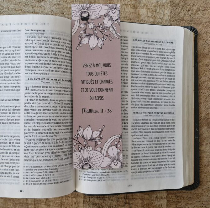 MP n°27 - Matthieu 11 : 28 – Image 2