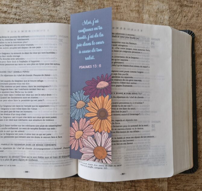 MP n°22 - Psaumes 13 : 6 – Image 2