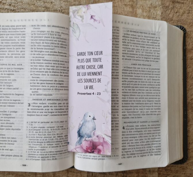 MP n°25 - Proverbes 4 : 23 – Image 2
