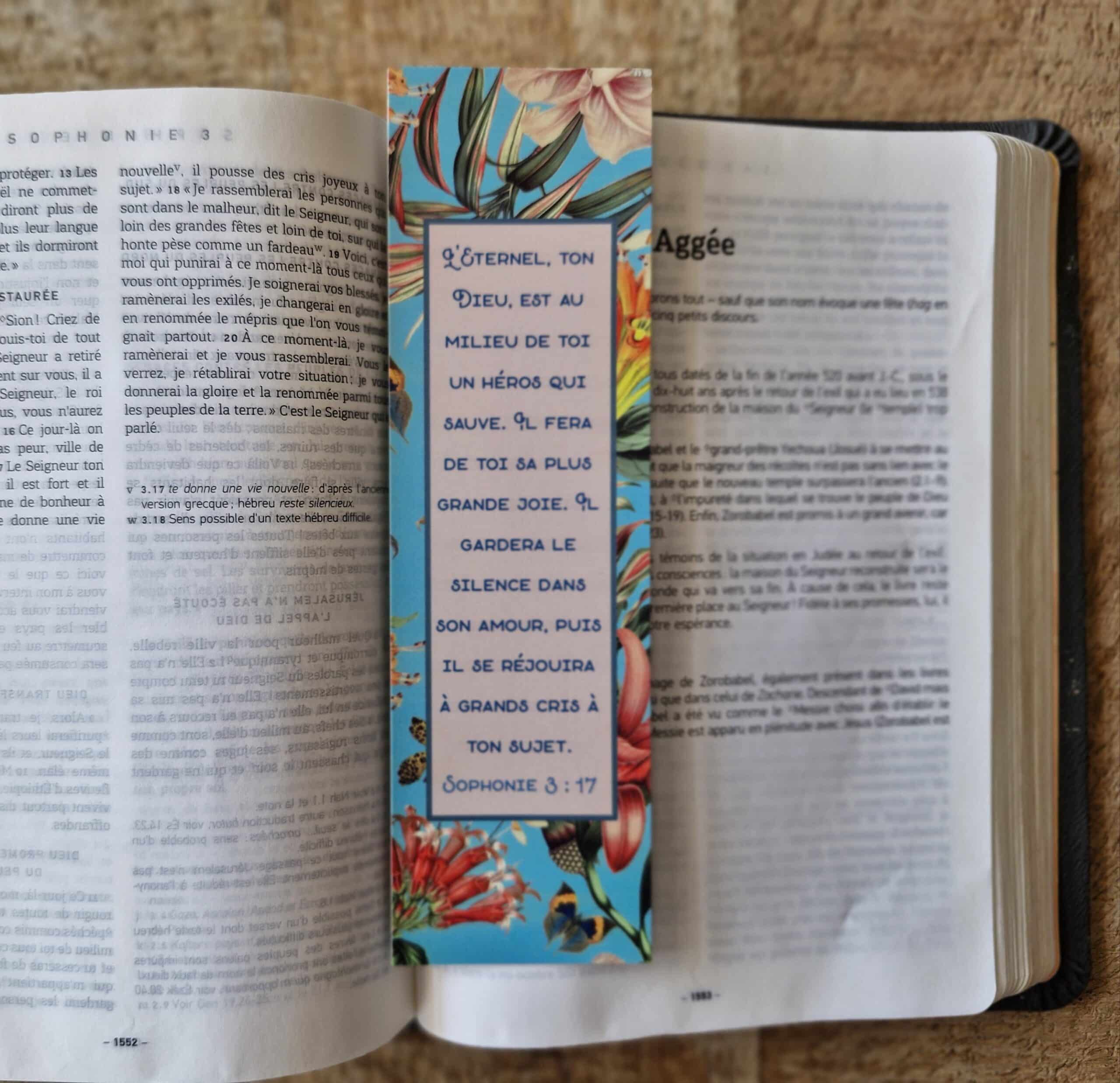 MP n°37 - Sophonie 3 : 17 – Image 2