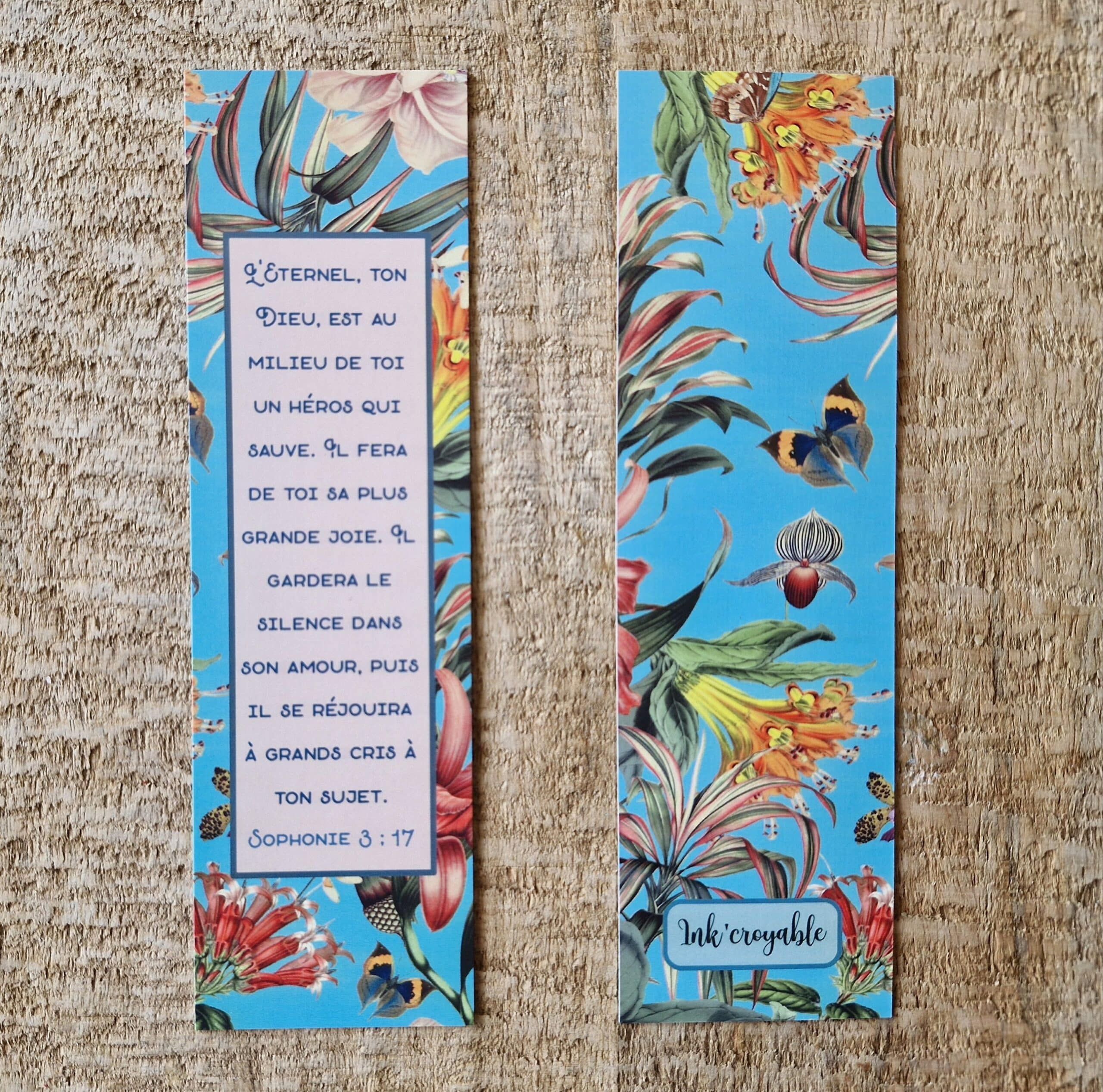 MP n°37 - Sophonie 3 : 17