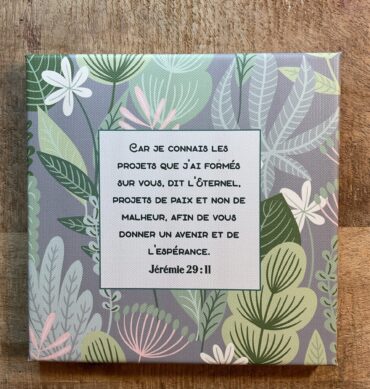 Tableau 20x20 Jérémie 29:11