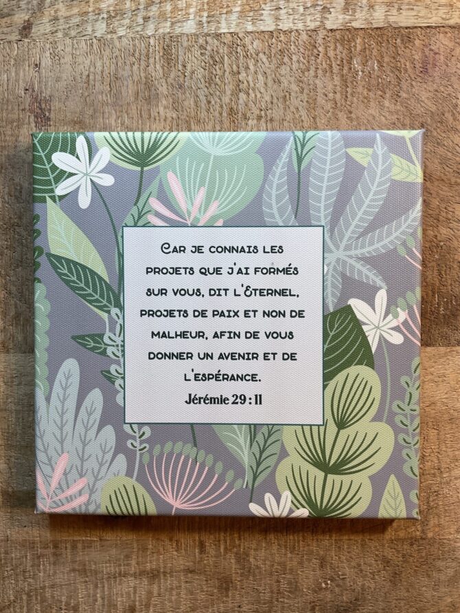 Tableau 20x20 Jérémie 29:11